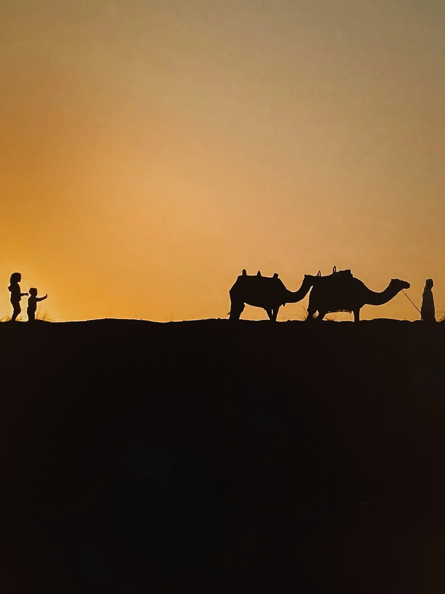 Two camels and their handlers in silhouette on a sand ridge at sunrise at a desert camp in Dubai