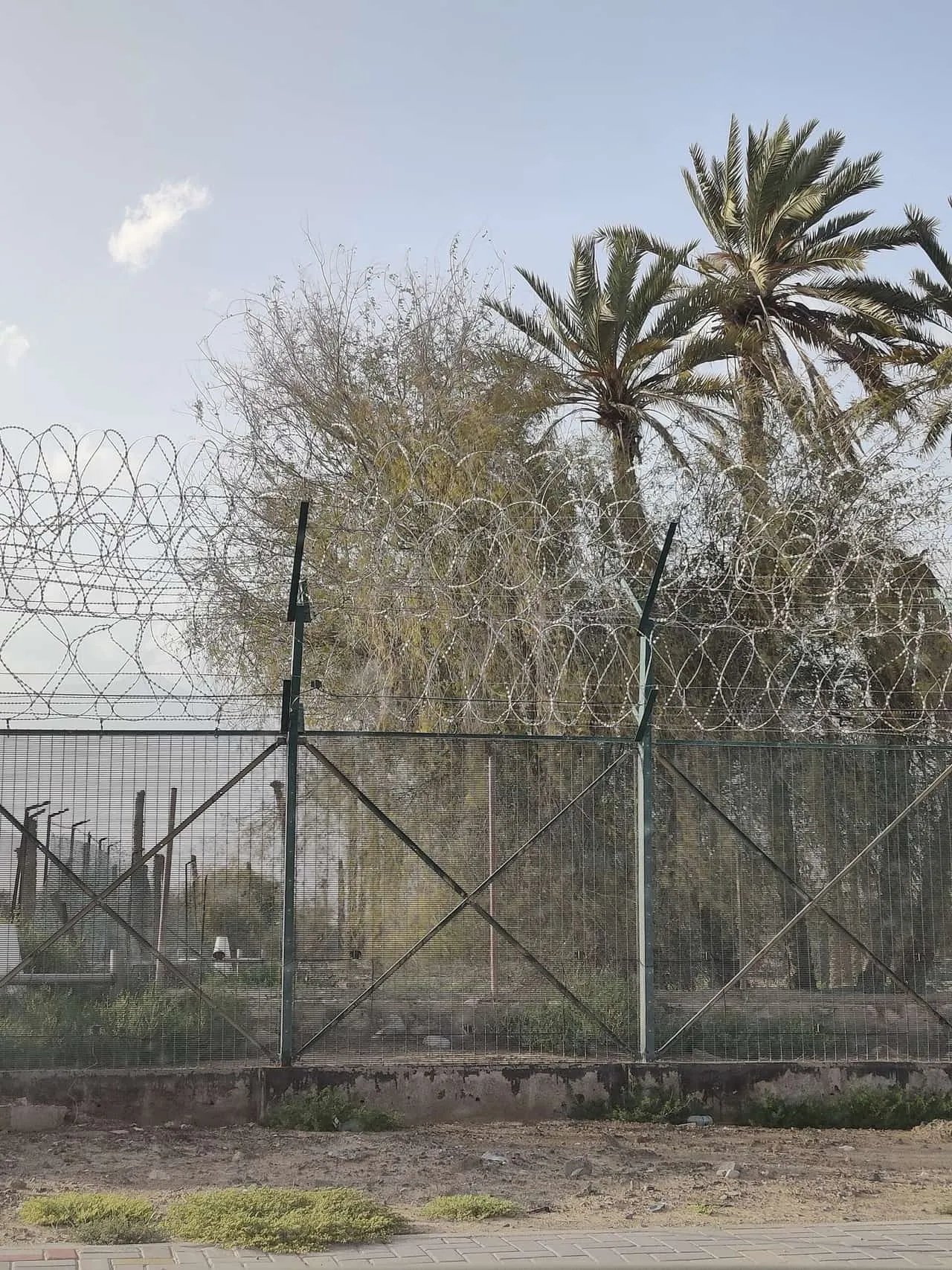 The fenced UAE and Oman border barrier in Dibba, topped with razor wire, with palm trees behind