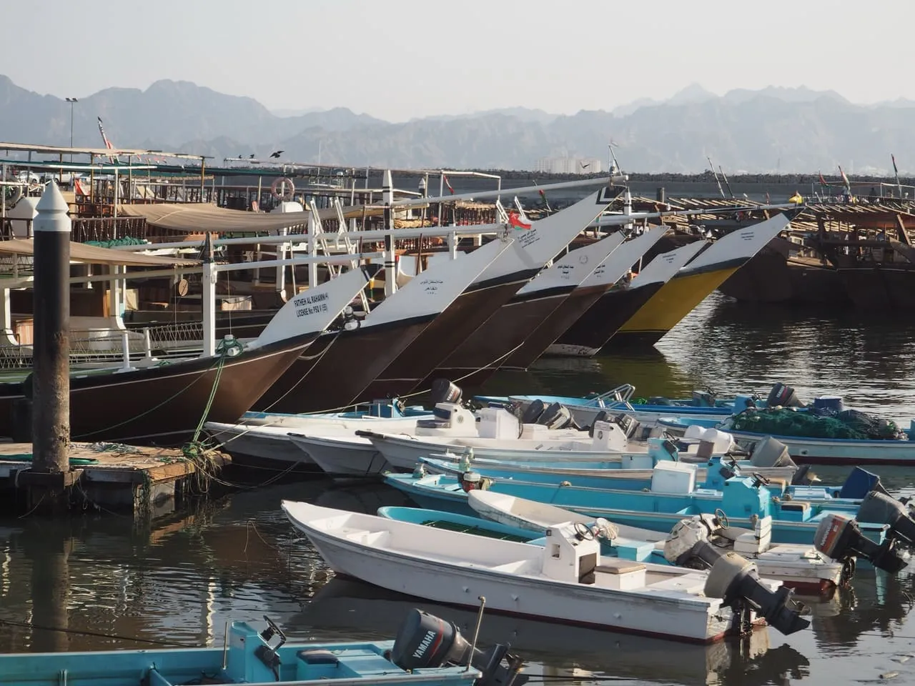 Dhows and small fishing boats moored in the harbour at Dibba, with the Hajar Mountains behind