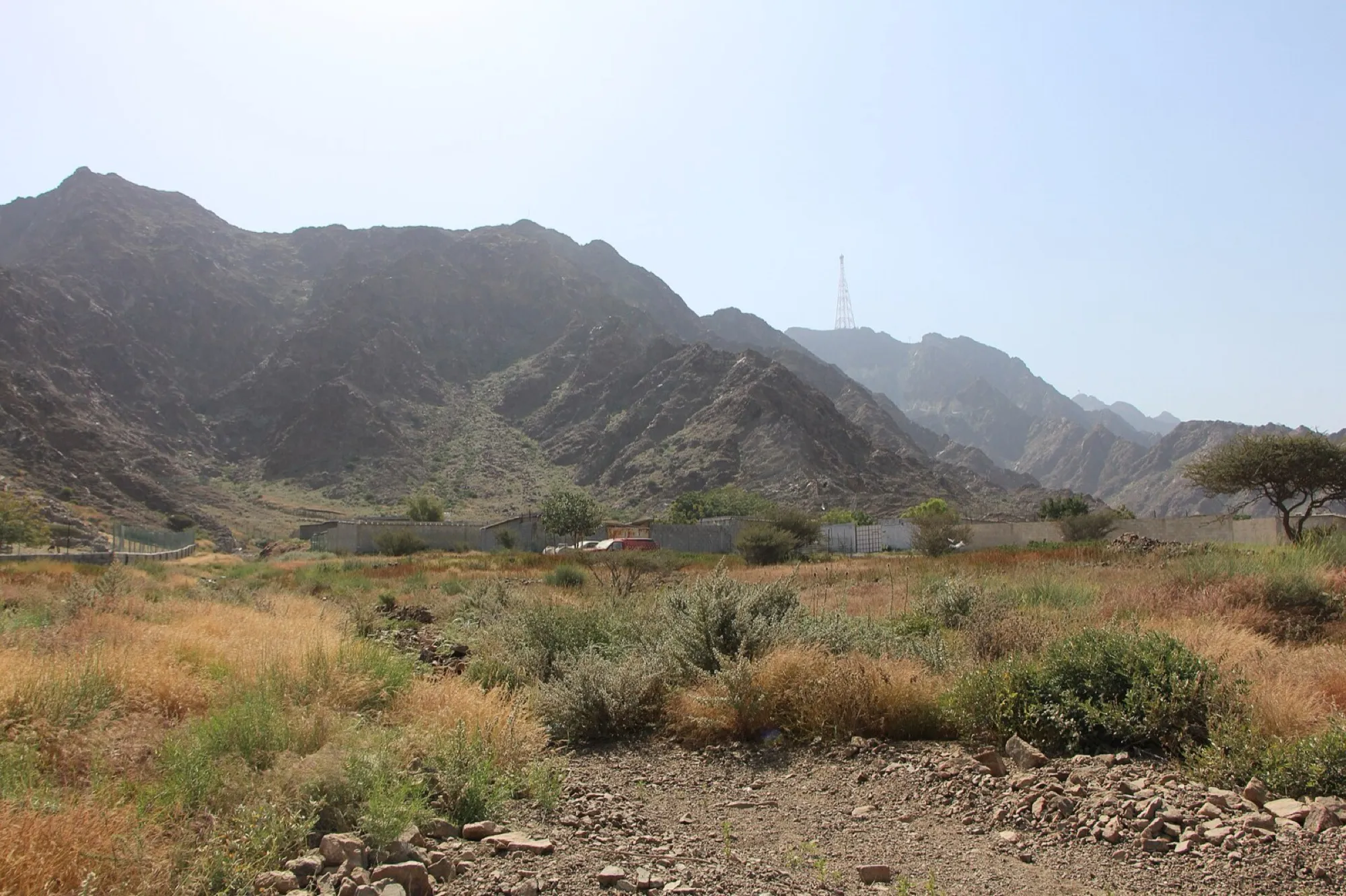 Rocky Hajar Mountain slopes and scrub near Dibba Al Fujairah on the east coast