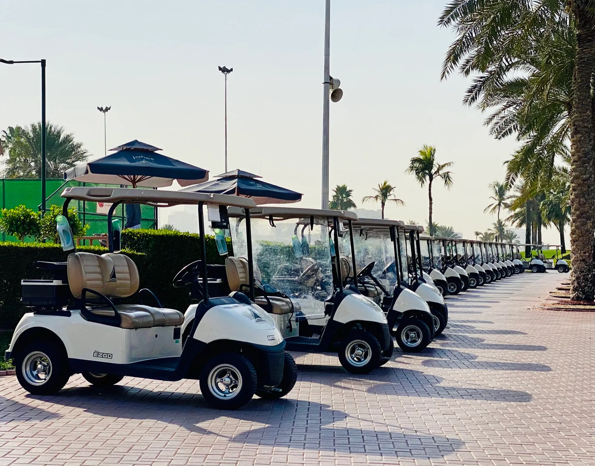 A row of golf buggies parked under palm trees at a golf club in Dubai
