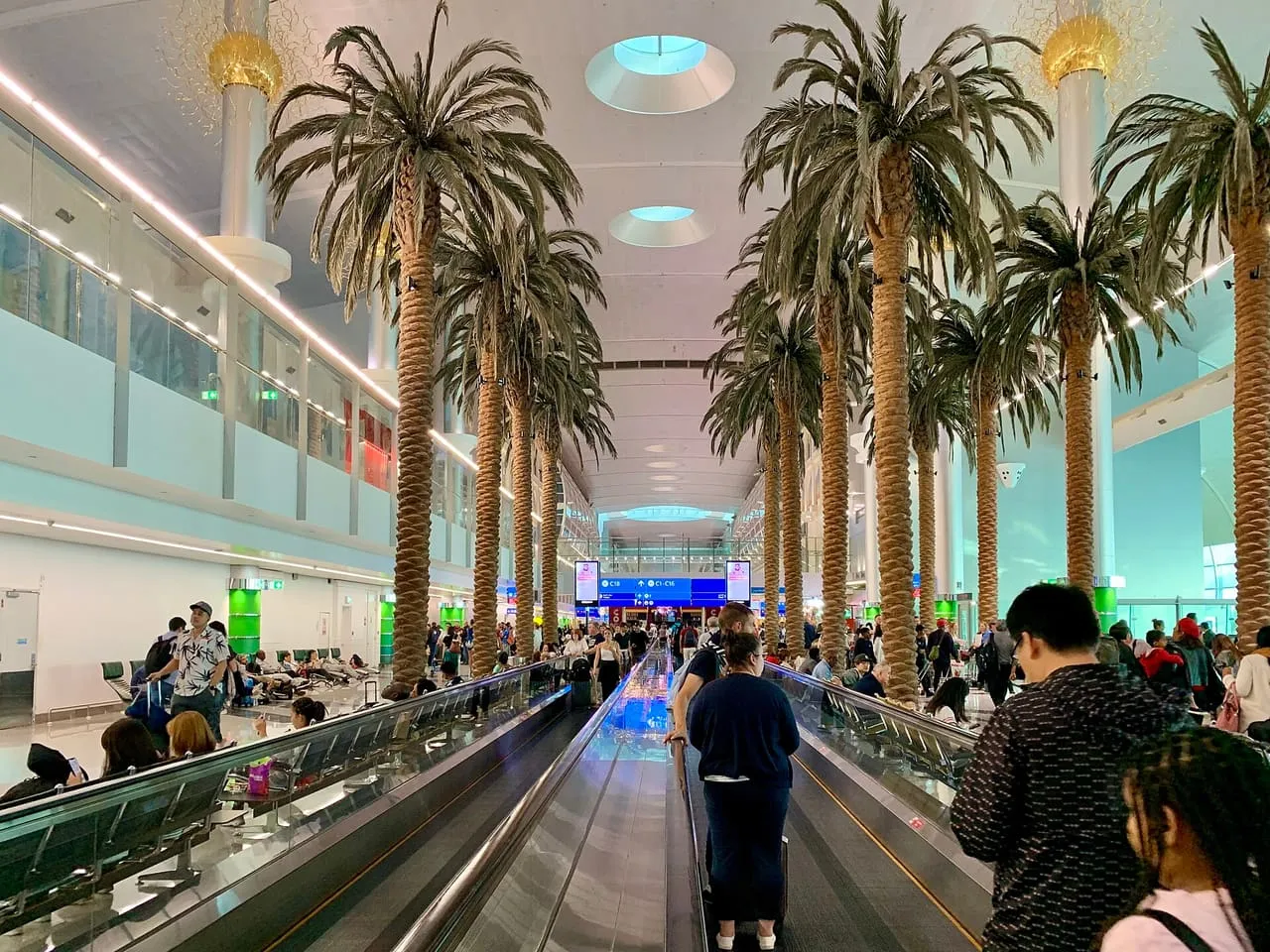 Travellers on a moving walkway under the palm trees inside DXB Terminal 3