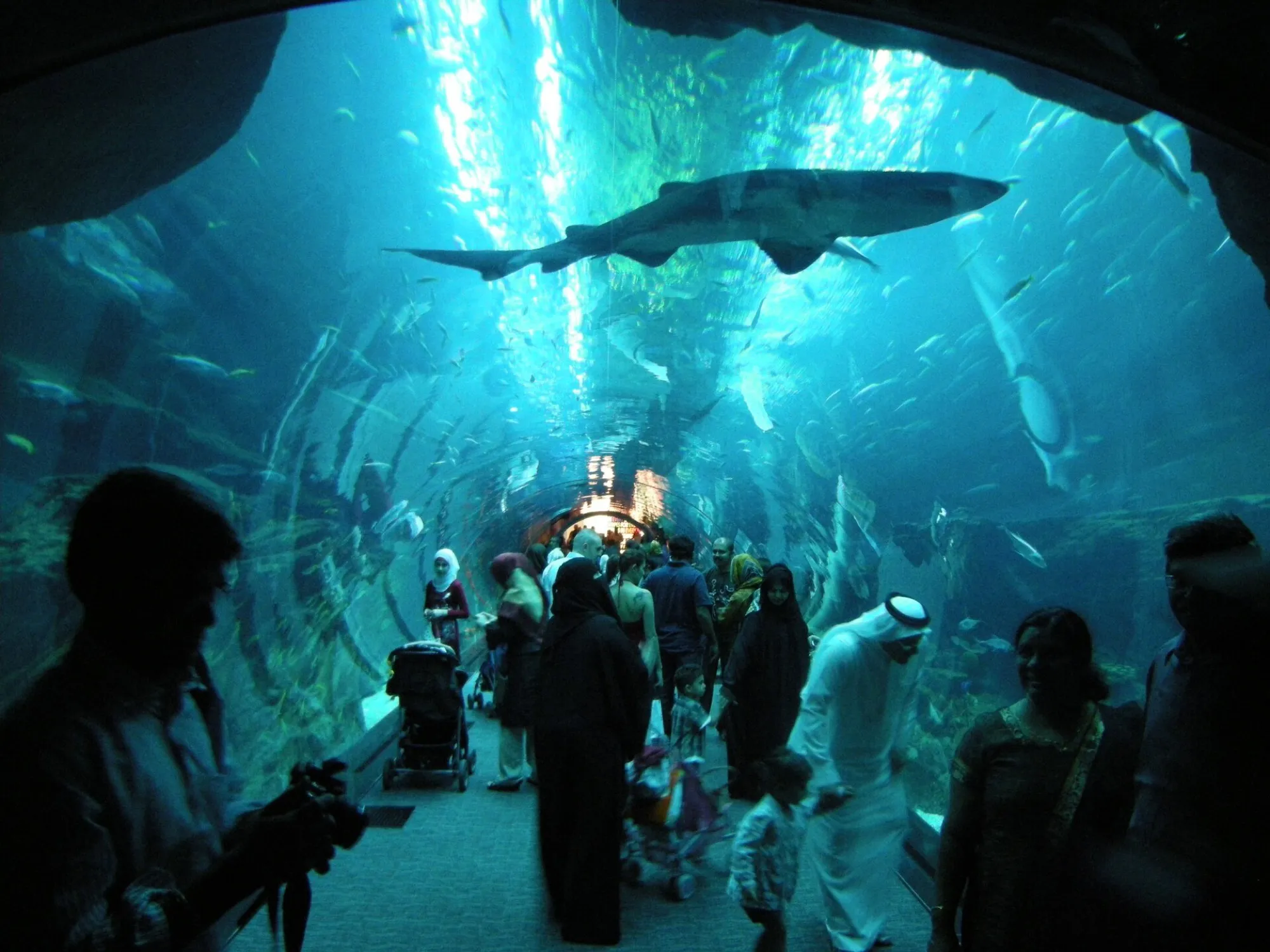 Families and a pushchair walking through the shark tunnel at Dubai Aquarium