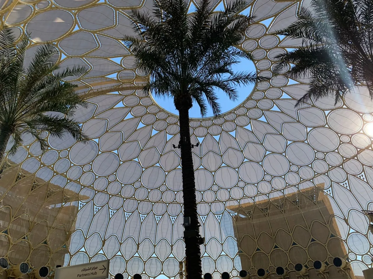 Looking up through the Al Wasl Plaza dome at Expo City Dubai, with palm trees below