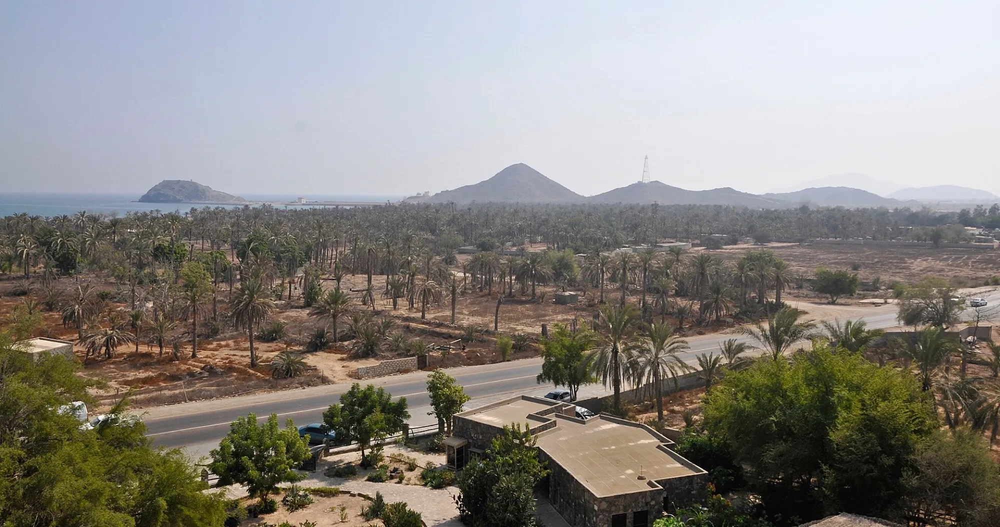 Date palms and a coastal road at Khor Fakkan, with mountains and the Gulf of Oman behind