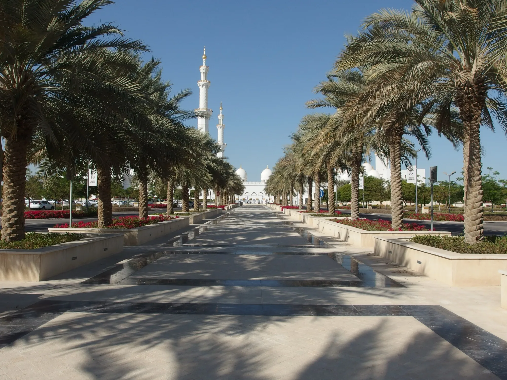 The approach to the Sheikh Zayed Grand Mosque in Abu Dhabi, lined with date palms