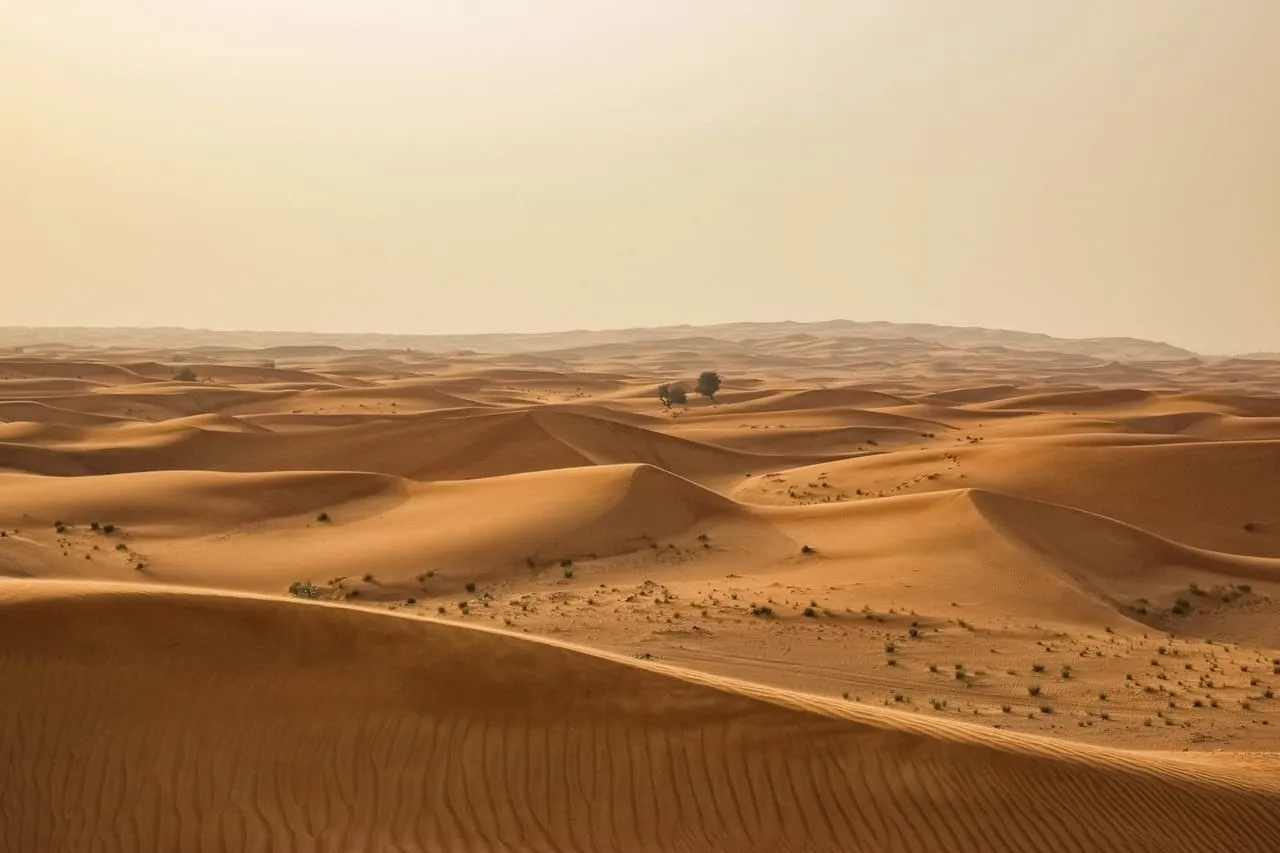 Rolling red sand dunes dotted with shrubs in the desert outside Dubai