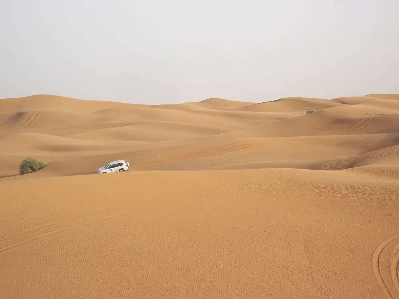 A lone white 4x4 crossing wide, rippled dunes in the Dubai Desert Conservation Reserve