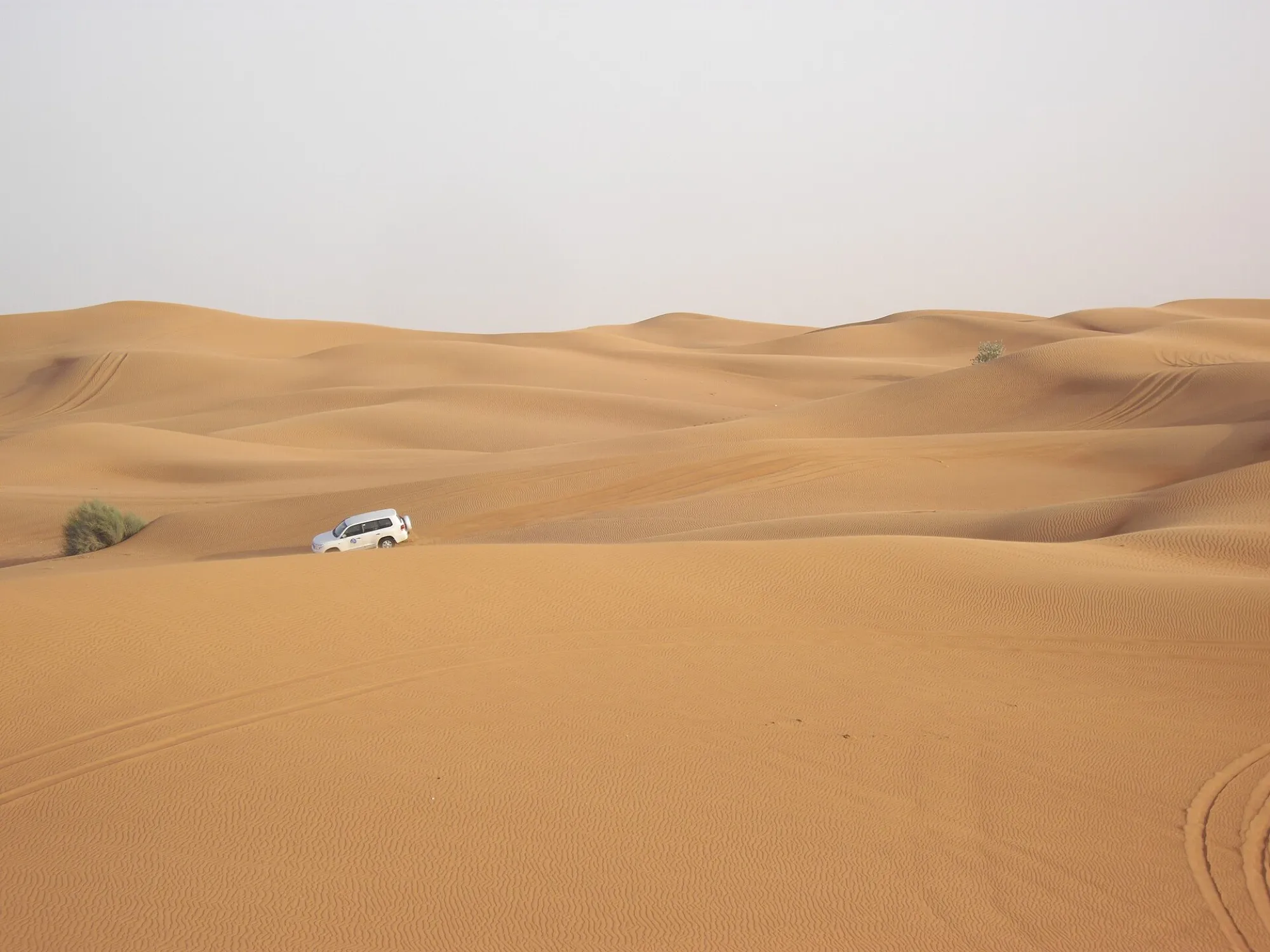 A lone white 4x4 crossing wide, rippled dunes in the Dubai Desert Conservation Reserve